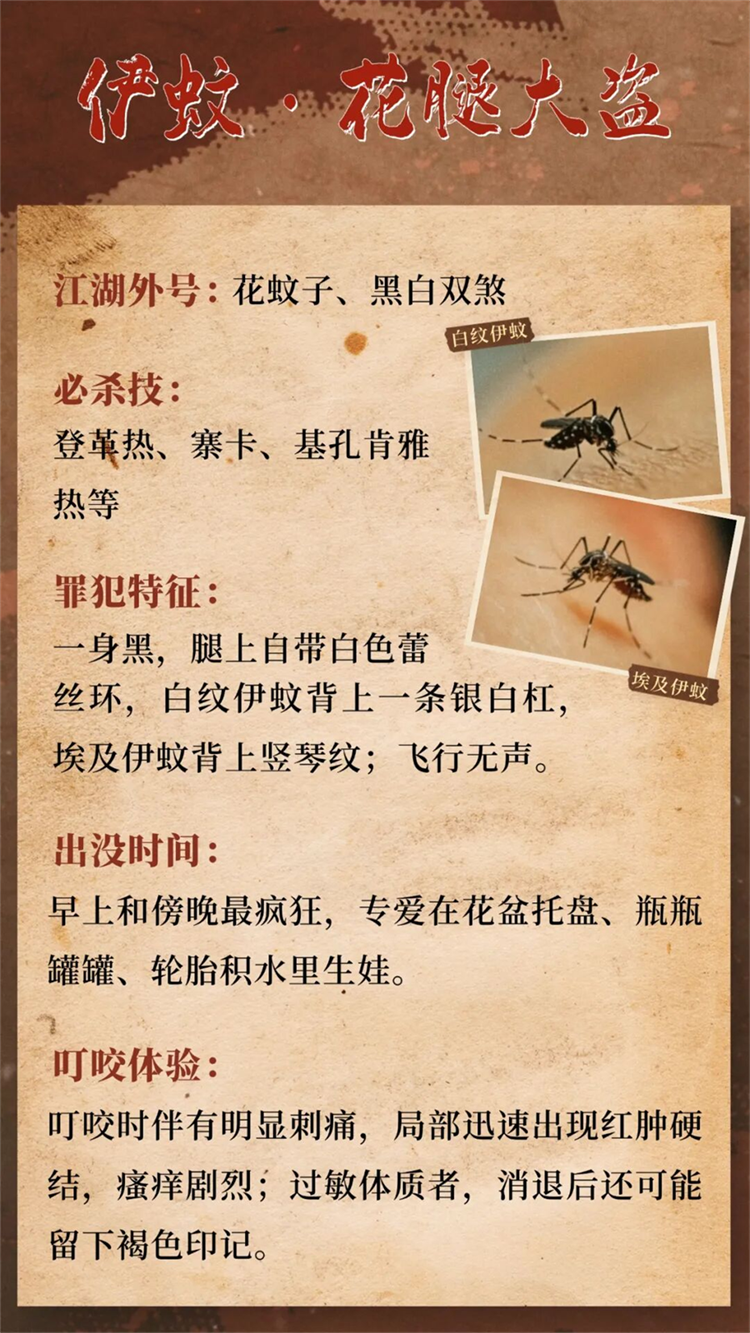 图片 1_副本 图片 1_副本