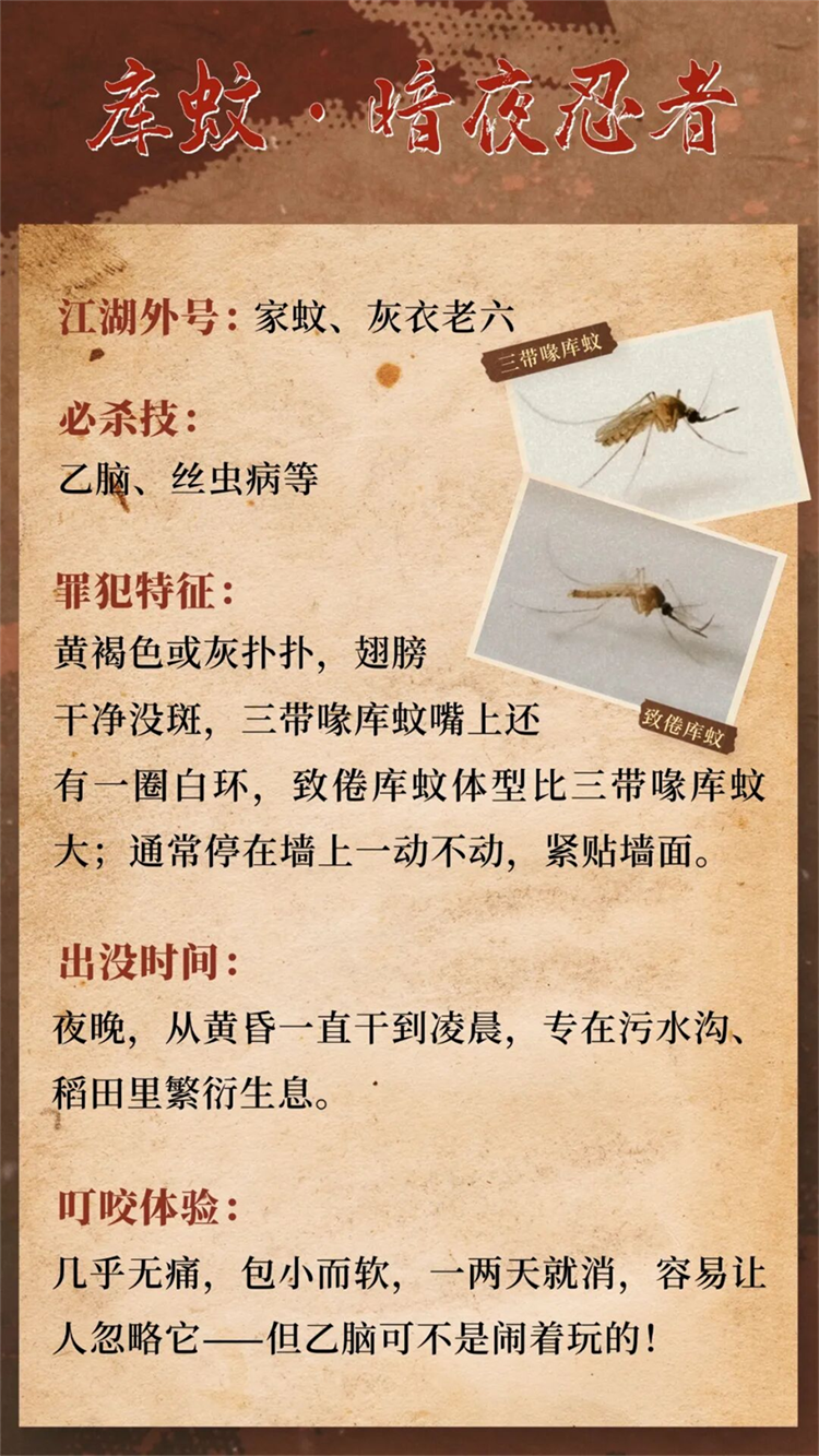 图片 2_副本 图片 2_副本