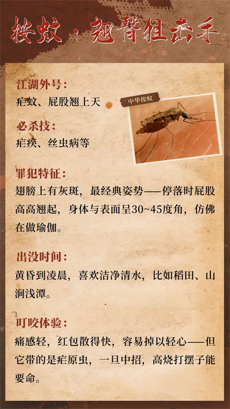 图片 3 图片 3