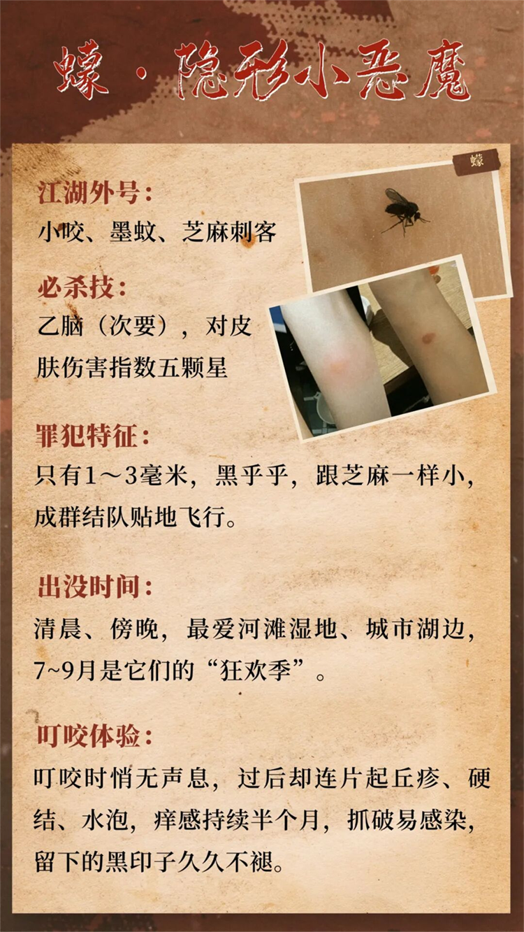 图片 4 图片 4