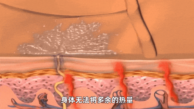 图片 3 图片 3