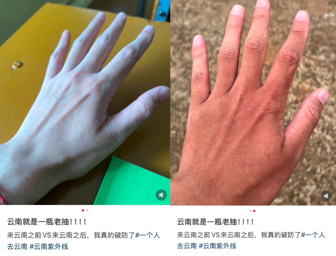 图片 12 图片 12