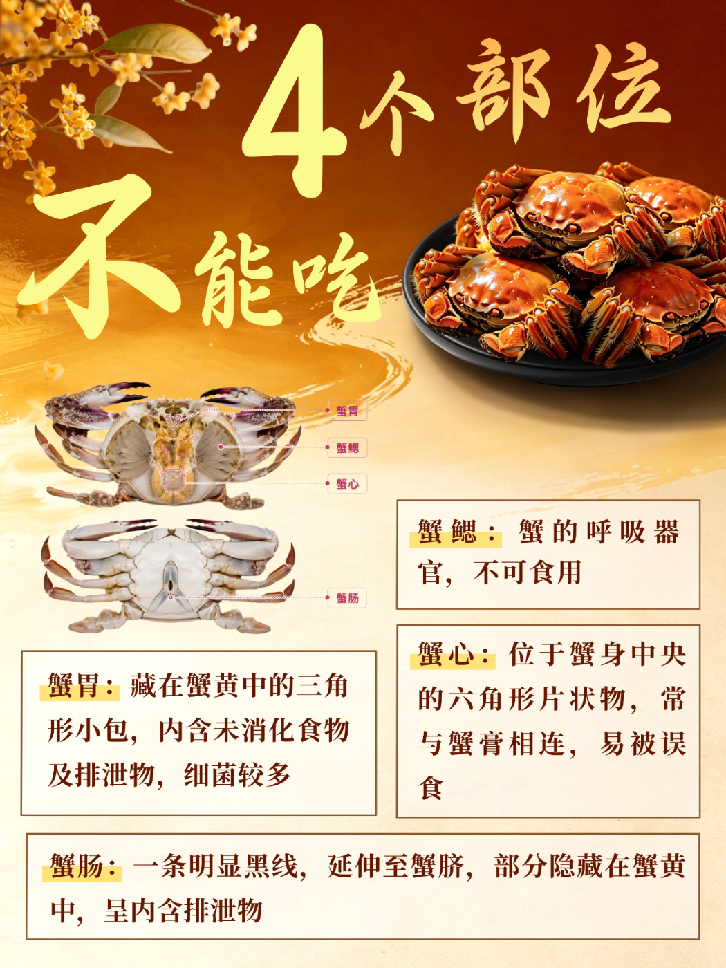 3微信图片_2026-09-11_153211_189 3微信图片_2026-09-11_153211_189