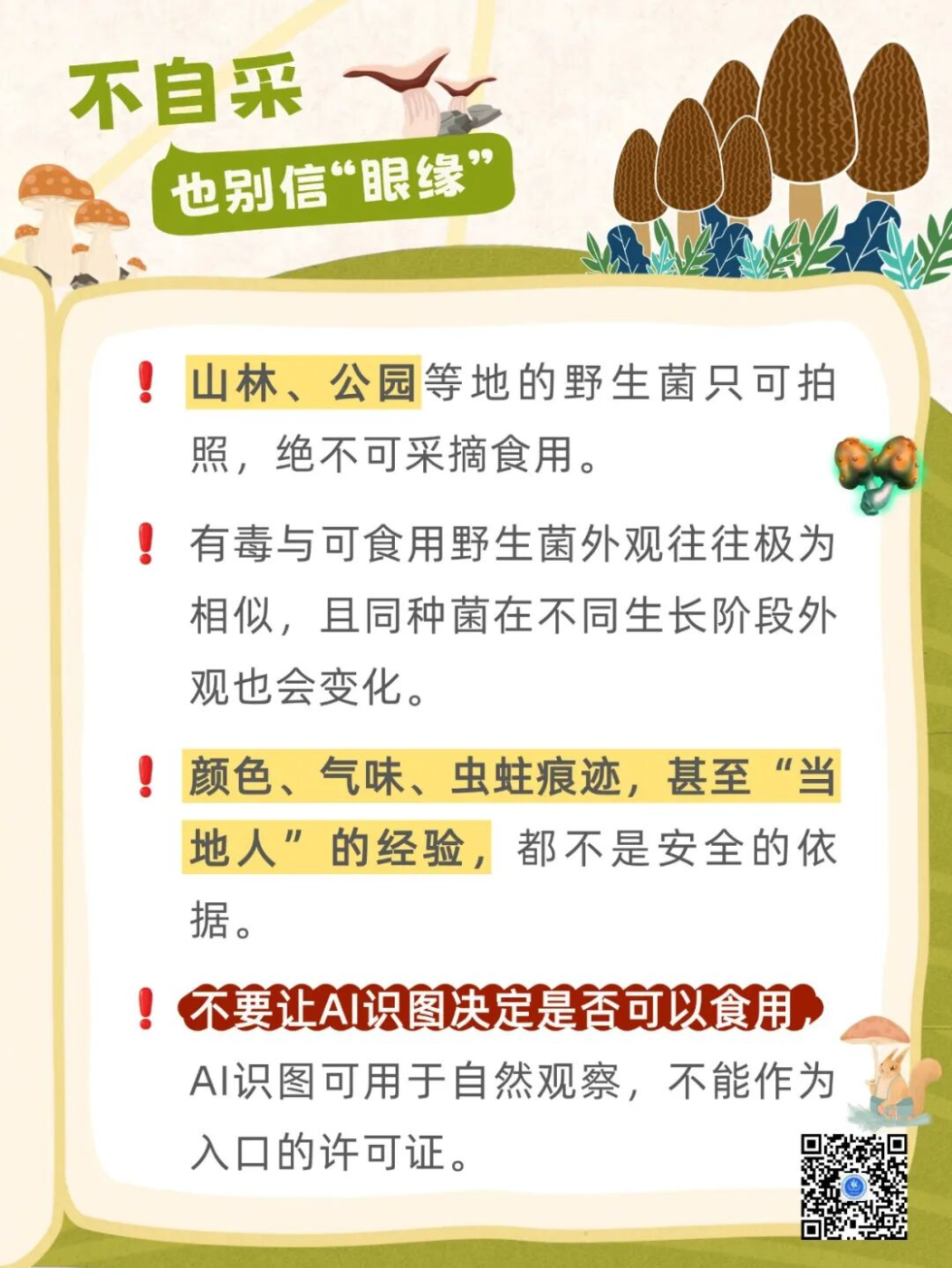 图片 4